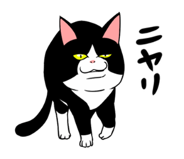 A little fat cat 2 sticker #5021257