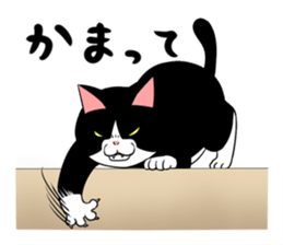 A little fat cat 2 sticker #5021261