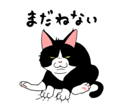 A little fat cat 2 sticker #5021264