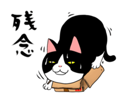 A little fat cat 2 sticker #5021266