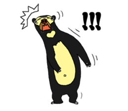 sunbear  max sticker #5021355