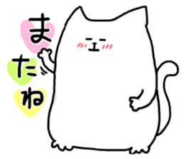 white shy cat sticker #5022490