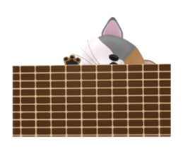 Playful three cats sticker #5023374