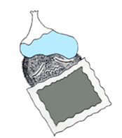 Tawasshi sticker #5025962