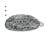 Tawasshi sticker #5025976