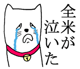 A nice cat sticker #5026130