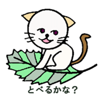 White circle cat sticker #5026315