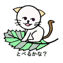White circle cat sticker #5026315