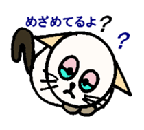 White circle cat sticker #5026323