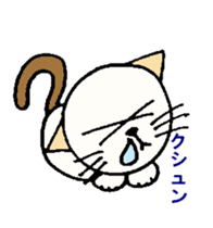 White circle cat sticker #5026331