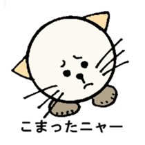 White circle cat sticker #5026338