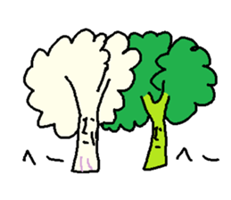 Broccoli&Cauliflower sticker #5026695