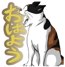 Talk of an animal kingdom sticker #5027110