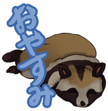 Talk of an animal kingdom sticker #5027111