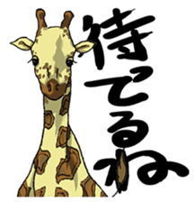 Talk of an animal kingdom sticker #5027122