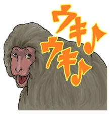 Talk of an animal kingdom sticker #5027133