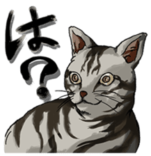 Talk of an animal kingdom sticker #5027137