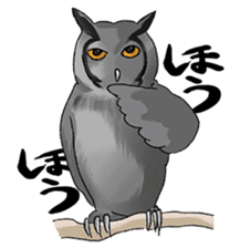 Talk of an animal kingdom sticker #5027139