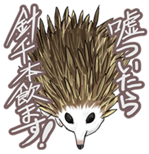 Talk of an animal kingdom sticker #5027144