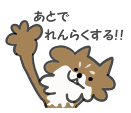 Chihuahua's RIKU sticker #5032554