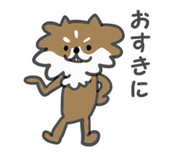 Chihuahua's RIKU sticker #5032562