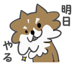 Chihuahua's RIKU sticker #5032575