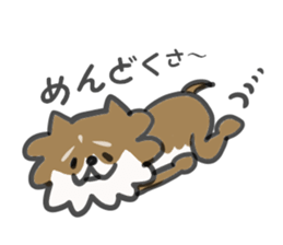 Chihuahua's RIKU sticker #5032586
