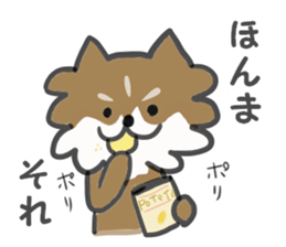 Chihuahua's RIKU sticker #5032587