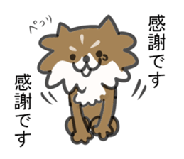 Chihuahua's RIKU sticker #5032589