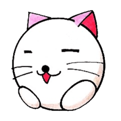 White cat Whitey calling on.