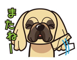 iinu - Pekingese sticker #5035038
