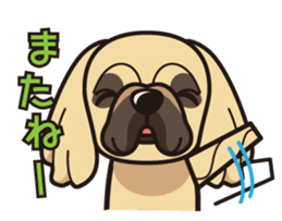 iinu - Pekingese sticker #5035038