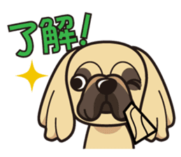 iinu - Pekingese sticker #5035041