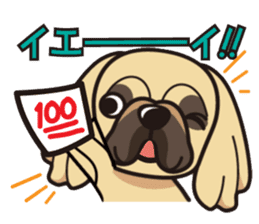 iinu - Pekingese sticker #5035054