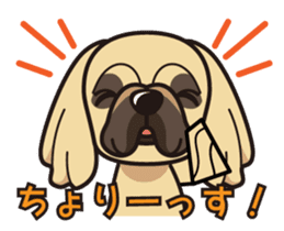 iinu - Pekingese sticker #5035062