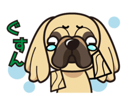 iinu - Pekingese sticker #5035064