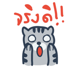 Docky & Molly TH02 sticker #5036442