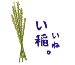 The Sticker of Japanese food 2 sticker #5037595