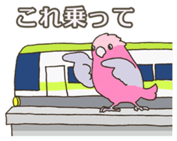 Travel by train with parrots & birds sticker #5037871