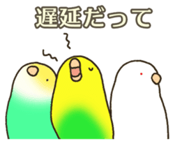 Travel by train with parrots & birds sticker #5037885