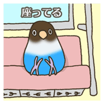 Travel by train with parrots & birds sticker #5037891