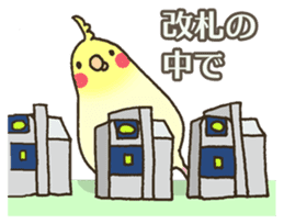 Travel by train with parrots & birds sticker #5037893