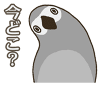 Travel by train with parrots & birds sticker #5037895