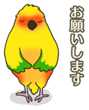 Travel by train with parrots & birds sticker #5037900