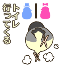 Travel by train with parrots & birds sticker #5037901