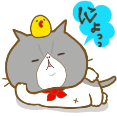 Punyan Biyori. PART3