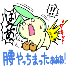 Small animals our everyday 2