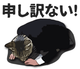 Cat office worker sticker #5039361