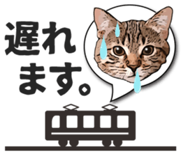 Cat office worker sticker #5039370