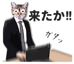 Cat office worker sticker #5039372